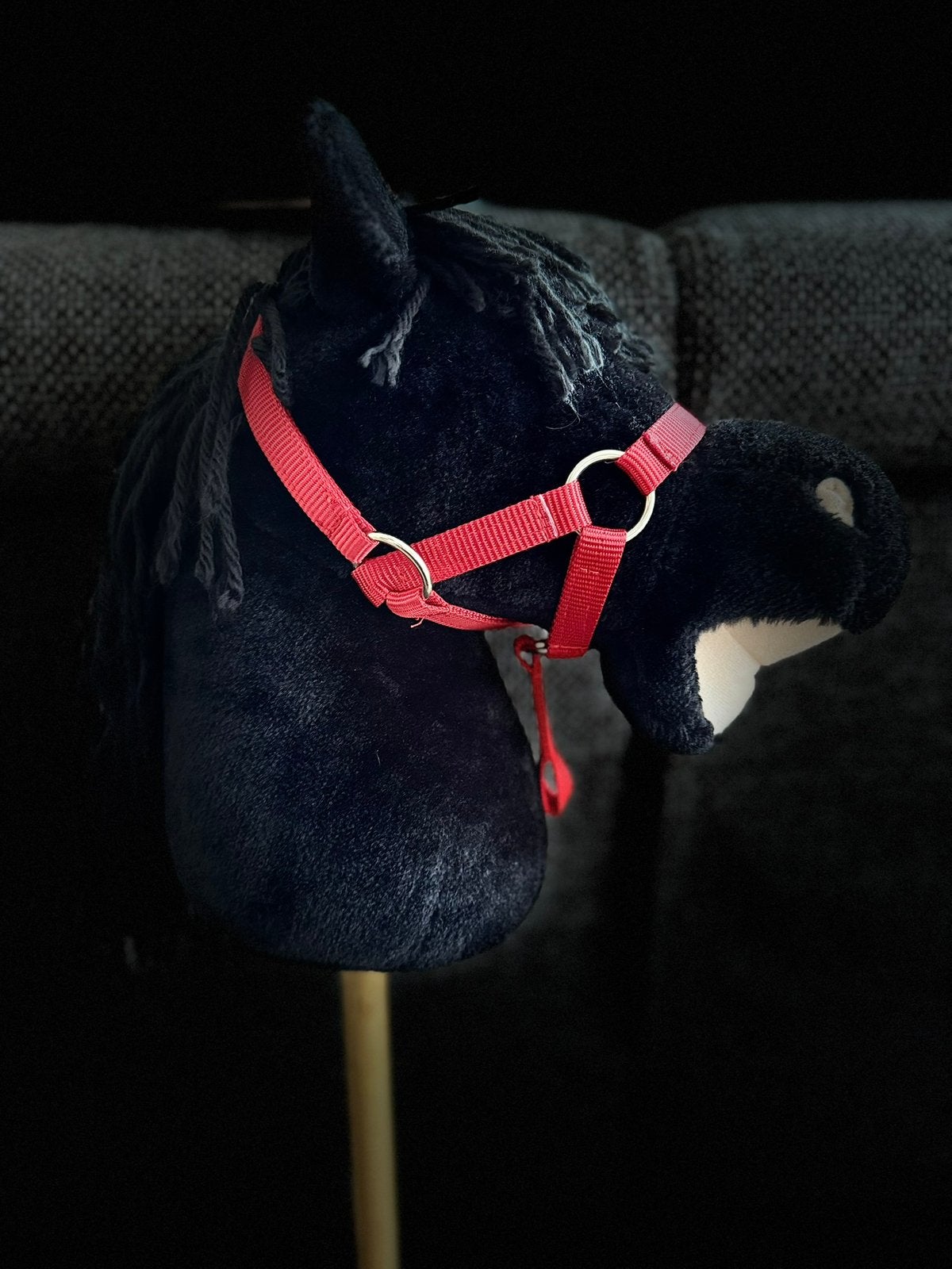 Hobby horse paard incl accessoires, Ophalen, Zo goed als nieuw, Overige soorten