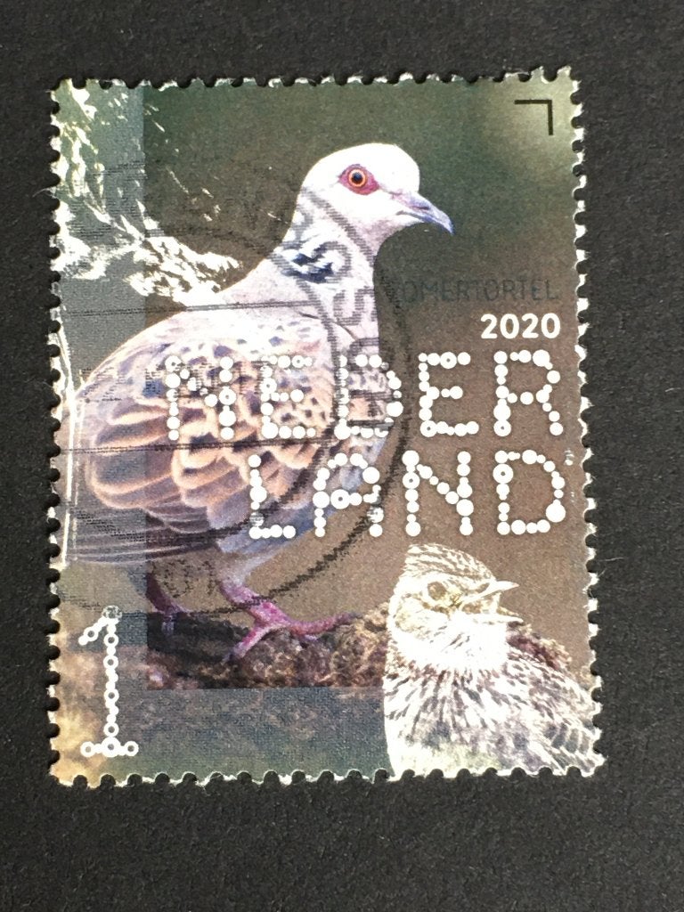 3157 Nederland 2020 NVPH 3828 Beleef Boerenland -Zomertortel, Ophalen of Verzenden, Na 1940, Gestempeld