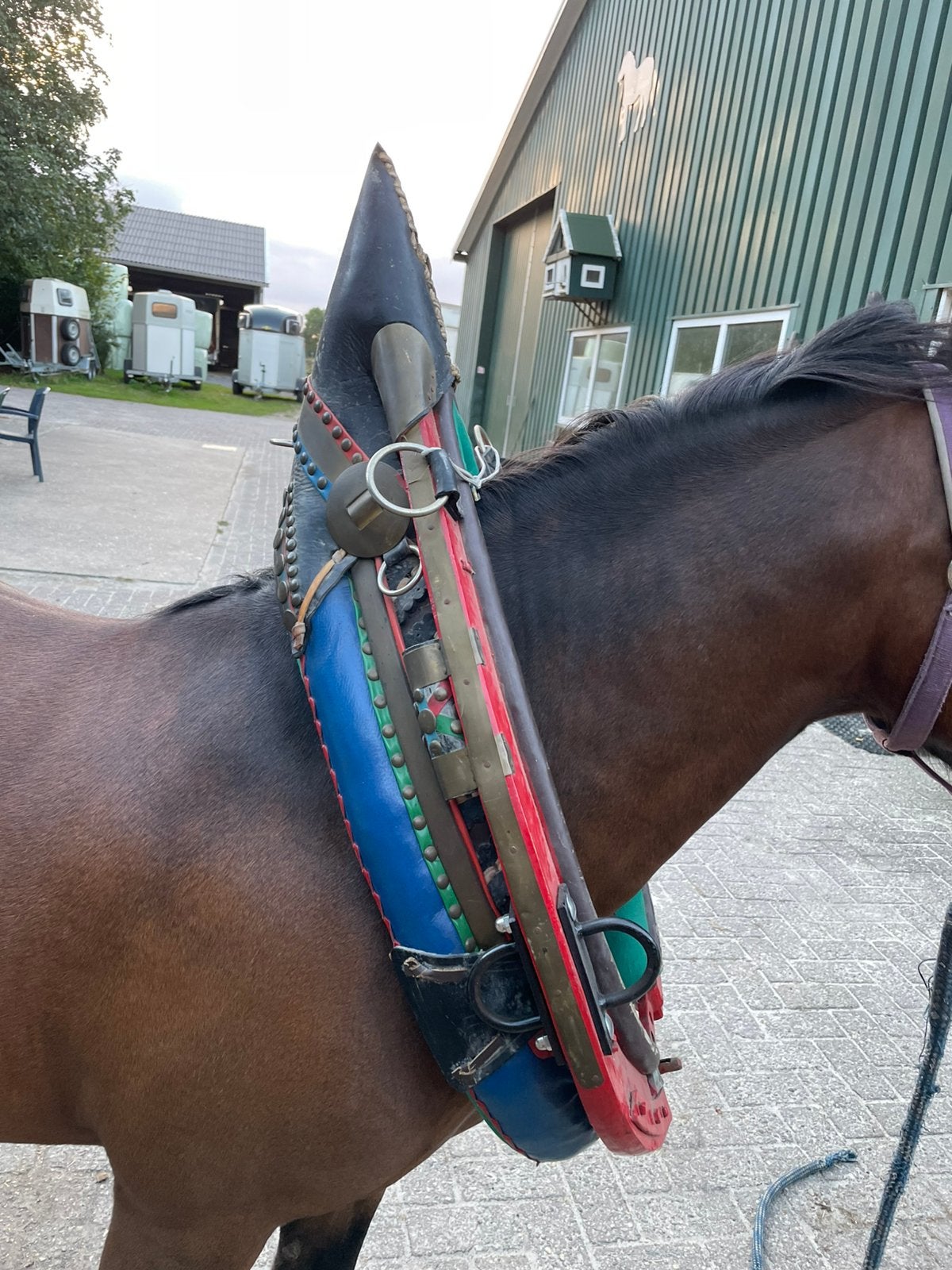 Mooi Gareel , maat pony., Dieren en Toebehoren, Ophalen, Gebruikt, Overige disciplines, Mentuig