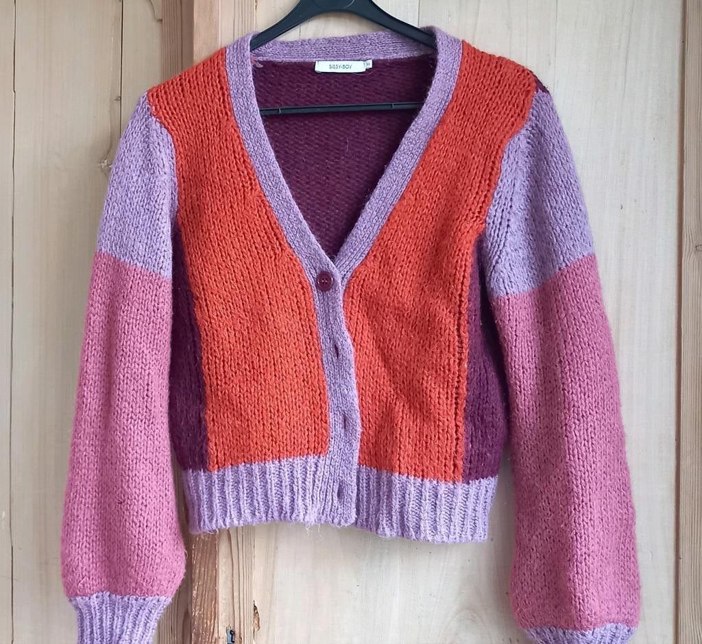 Kleurrijk gebreid vest - Sissy-Boy xs, Overige kleuren, Sissy-Boy, Ophalen of Verzenden, Zo goed als nieuw