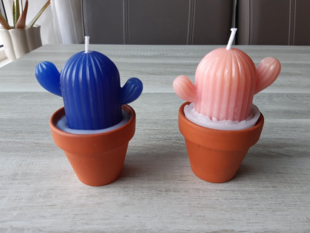 Handgemaakte kaars cactus in potje, 9 cm, Meerkleurig, Ophalen of Verzenden, Kaars