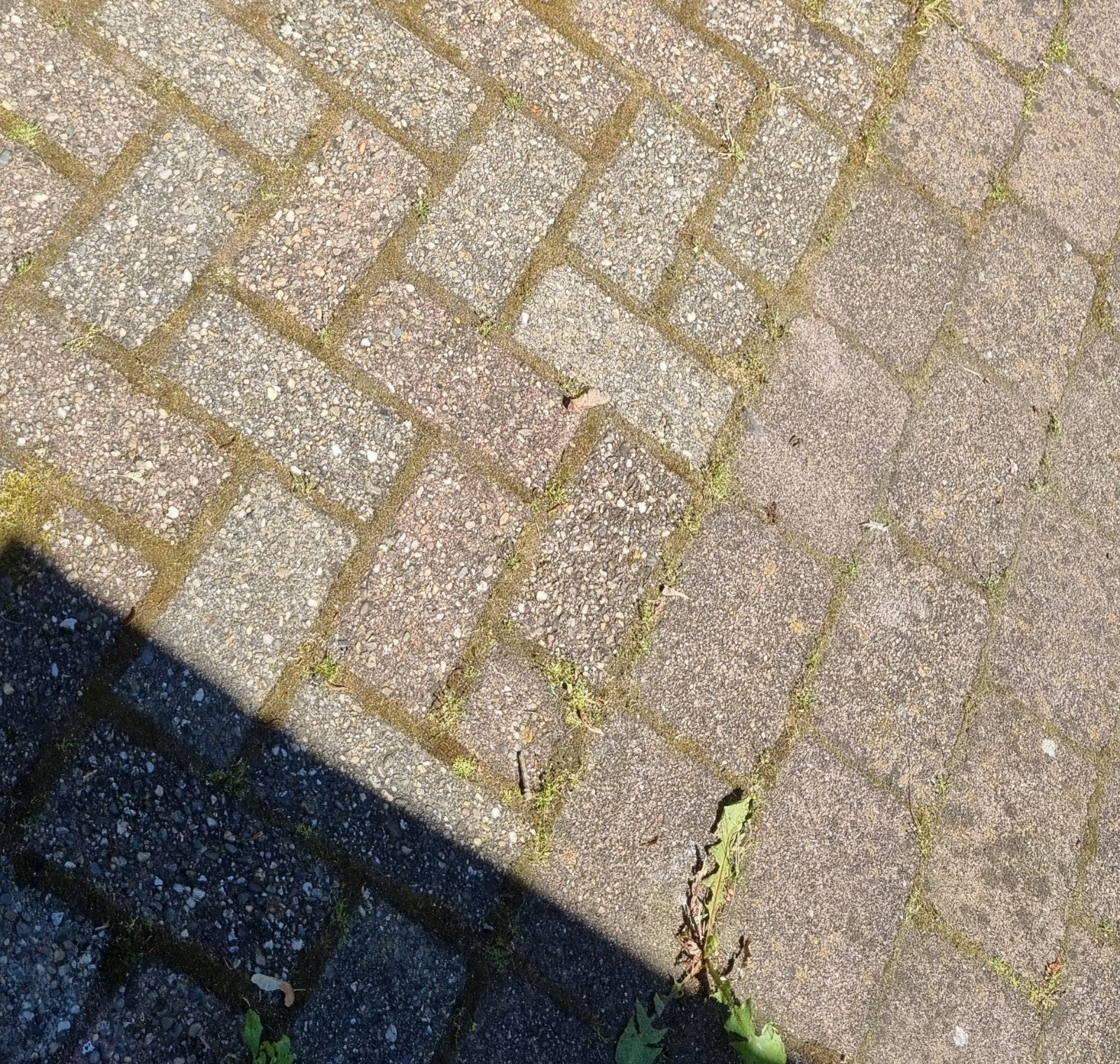 Gratis tuintegels ophalen in Almelo, Ophalen, Gebruikt, Beton, Terrastegels