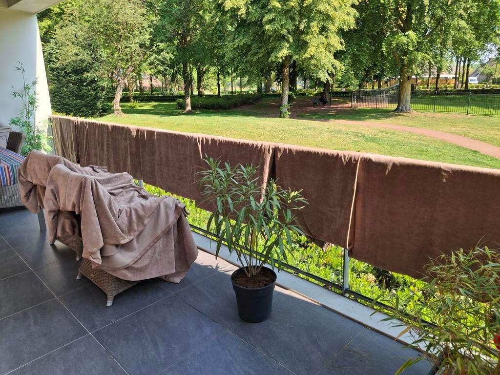 GORDIJNEN VELOURS, Ophalen, Beige, 200 cm of meer