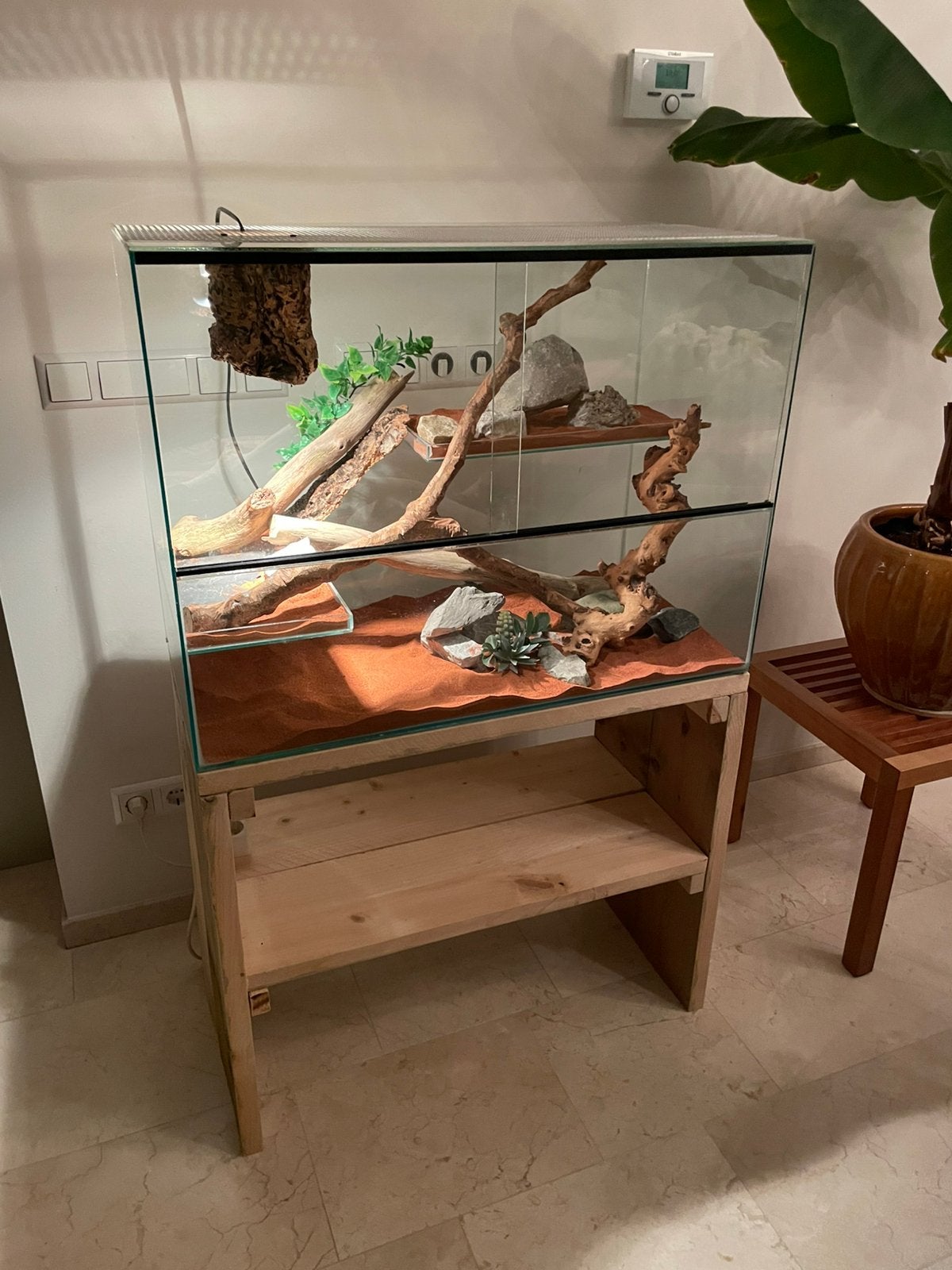 Terrarium 80 x 40 x 60 compleet, Dieren en Toebehoren, Reptielen en Amfibieën | Toebehoren, Ophalen, Zo goed als nieuw, Terrarium of Paludarium