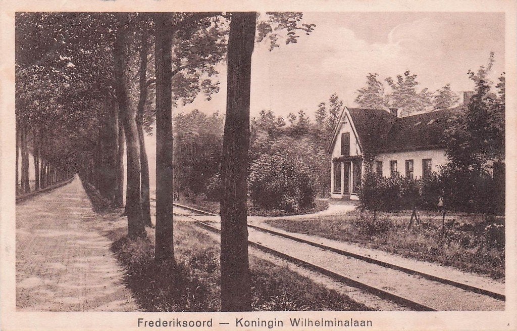 Fredriksoord - Koningin Wilhelminalaan (1920), Ophalen of Verzenden, Voor 1920, Gelopen, Drenthe