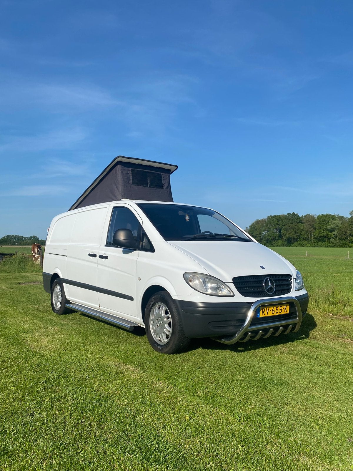 Mercedes-Benz Vito 109cdi Camper, Buscamper of Camperbus, Tot en met 2, Mercedes-Benz, Diesel