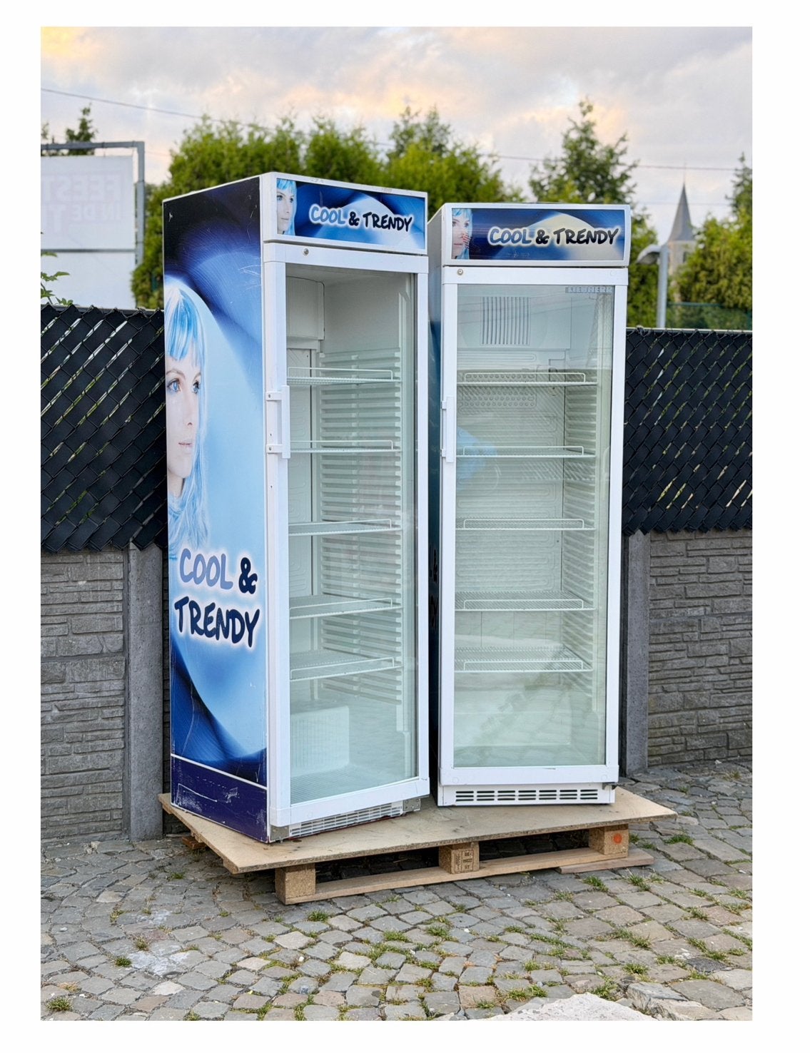 2 koelvitrine LIEBHERR professionele, Ophalen, Gebruikt