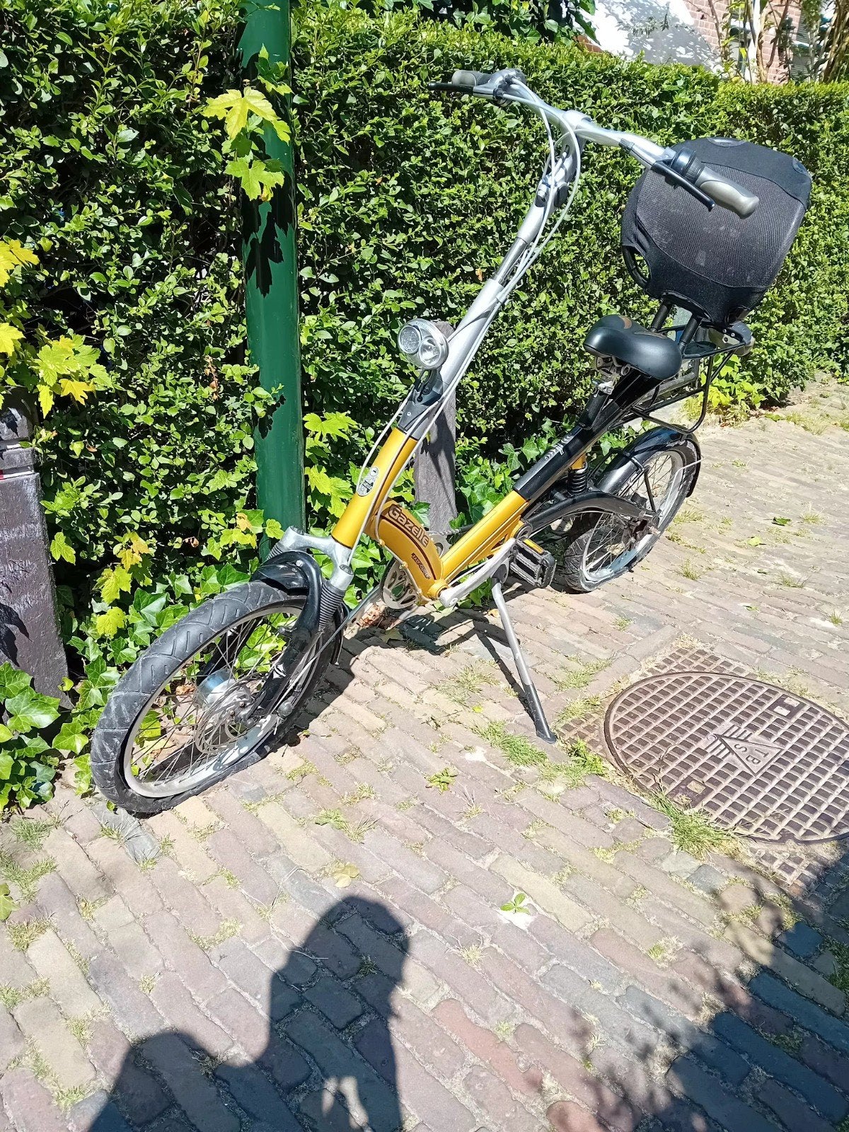 Gazelle Easy Glider, Ophalen, Gebruikt, Gazelle
