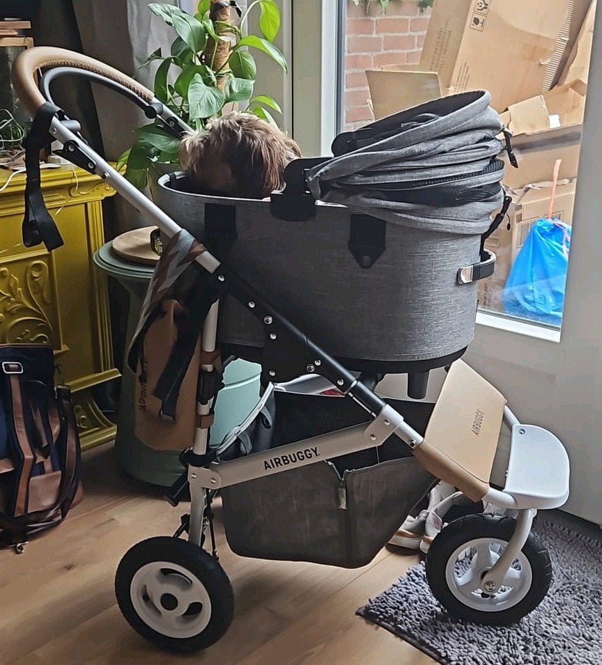 bijna nieuwe airbuggy dome regular hondenbuggy, Overige merken, Ophalen, Nieuw, Hondenbuggy