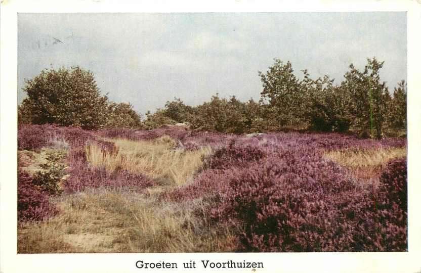 377-634-021 Voorthuizen, Verzenden, Voor 1920, Gelderland