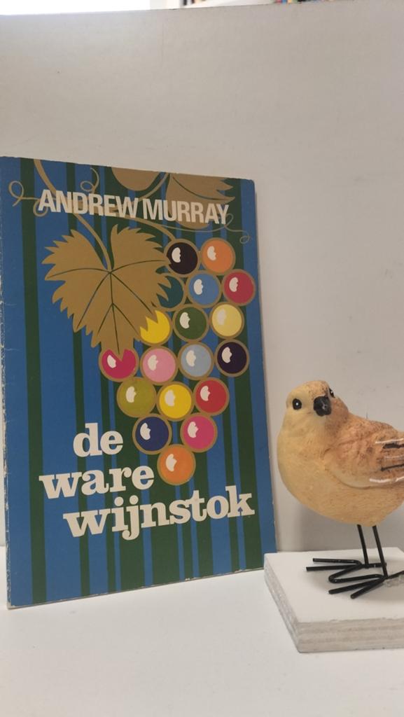 Murray, Andrew; De ware Wijnstok, Boeken, Godsdienst en Theologie, Ophalen of Verzenden, Gelezen, Christendom | Protestants