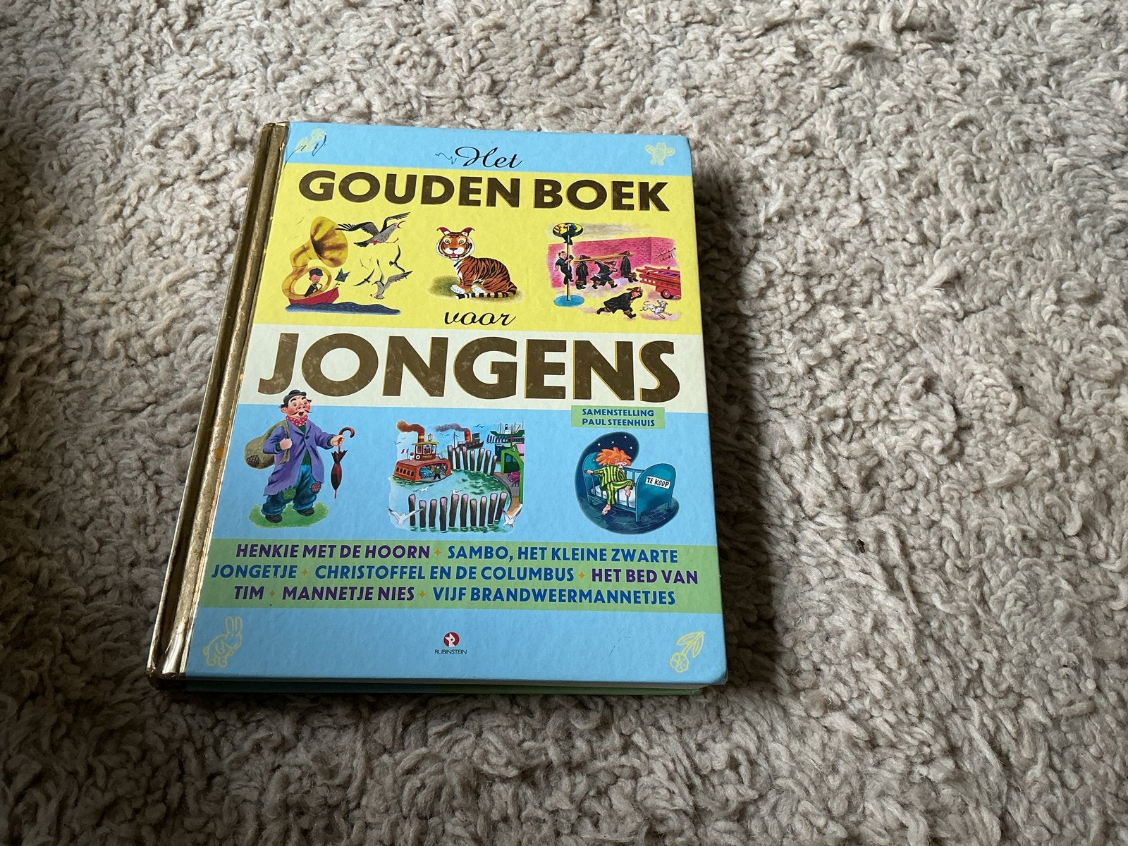 Het Gouden Boek voor Jongens - Paul Steenhuis opbr giro555, Boeken, Ophalen of Verzenden, Gelezen, Fictie algemeen
