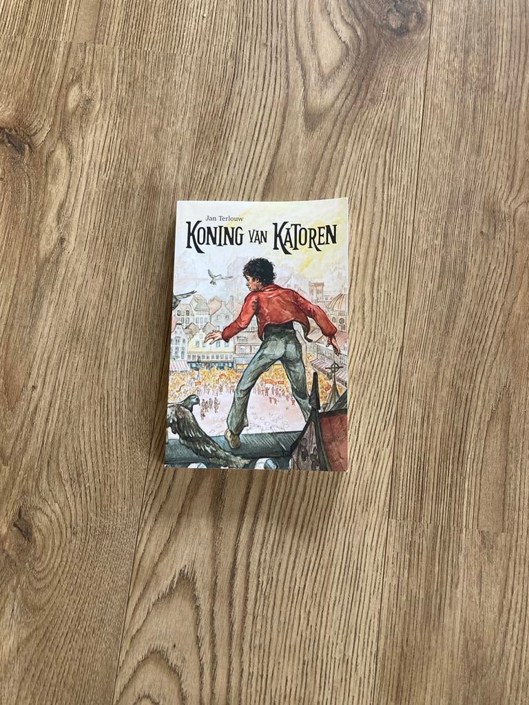 Koning van Katoren - Jan Terlouw, Boeken, Literatuur, Gelezen, Nederland, Ophalen of Verzenden