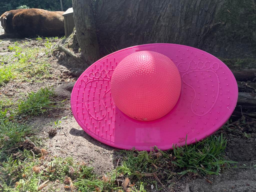 Roze balansbal voor training en plezier, Sport en Fitness, Ophalen of Verzenden, Gebruikt, Buik, Balansbord