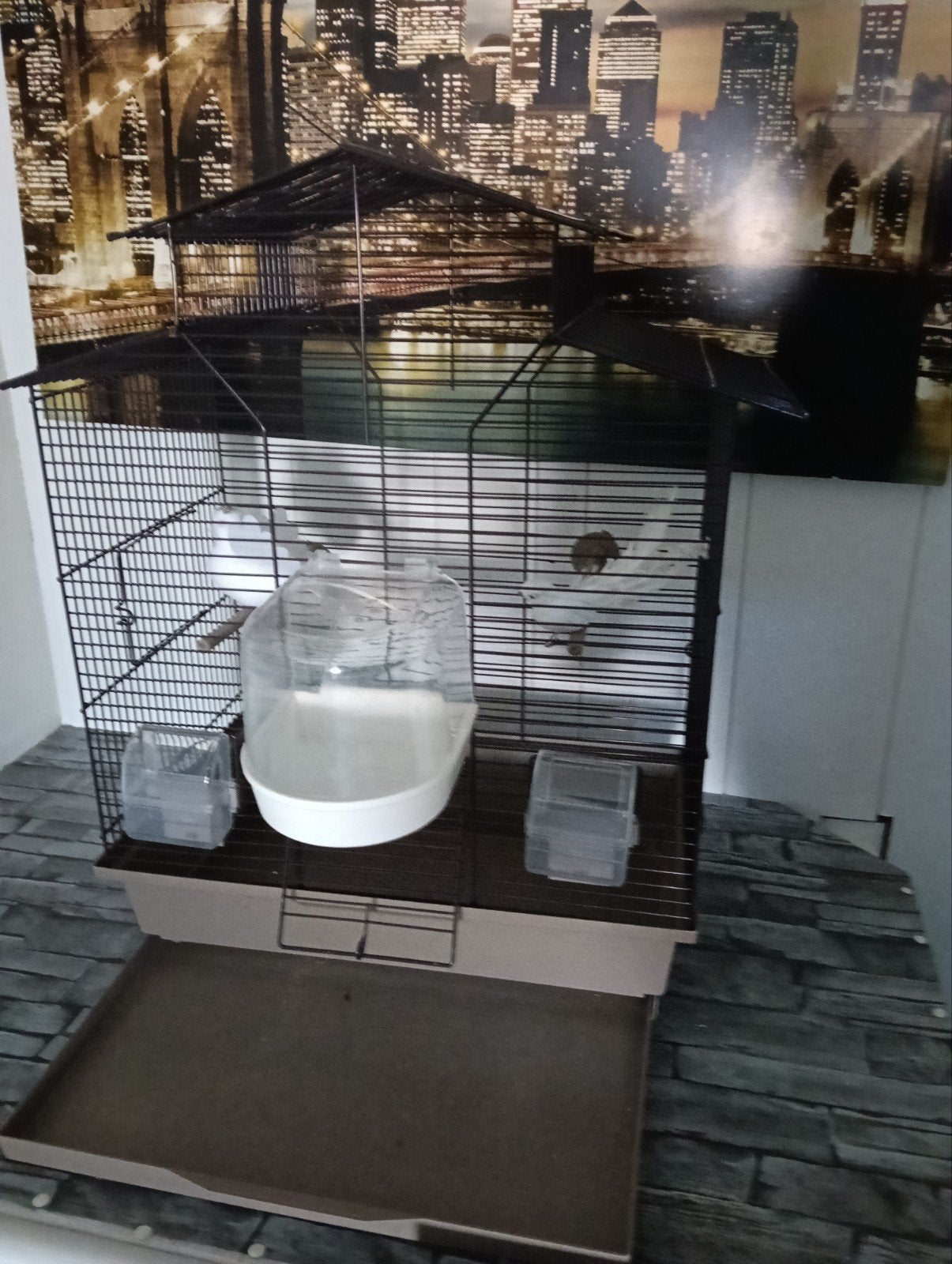 kanarie of parkieten vogelkooi compleet, Dieren en Toebehoren, Ophalen, Minder dan 75 cm, Kooi, Minder dan 60 cm