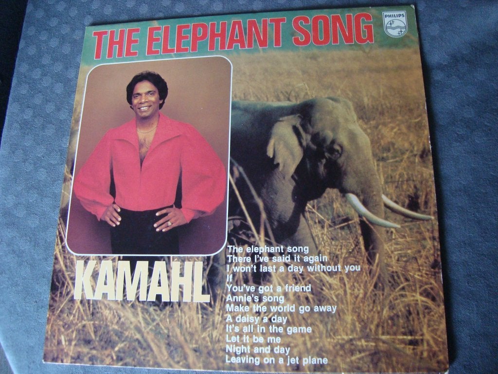 The elephant song lp, Ophalen of Verzenden, Zo goed als nieuw, 12 inch