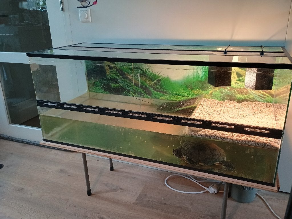 Schildpad terrarium, Overige soorten, 11 jaar of ouder