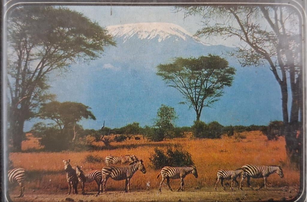 Safari - Robert Ruark (25), Wereld overig, Robert Ruark, Ophalen of Verzenden, Zo goed als nieuw