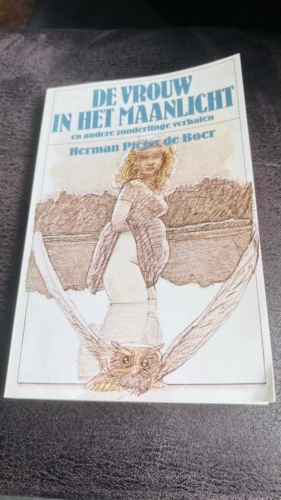 De Vrouw in het Maanlicht - Herman Pieter de Boer gesigneerd, Ophalen of Verzenden, Zo goed als nieuw, Nederland