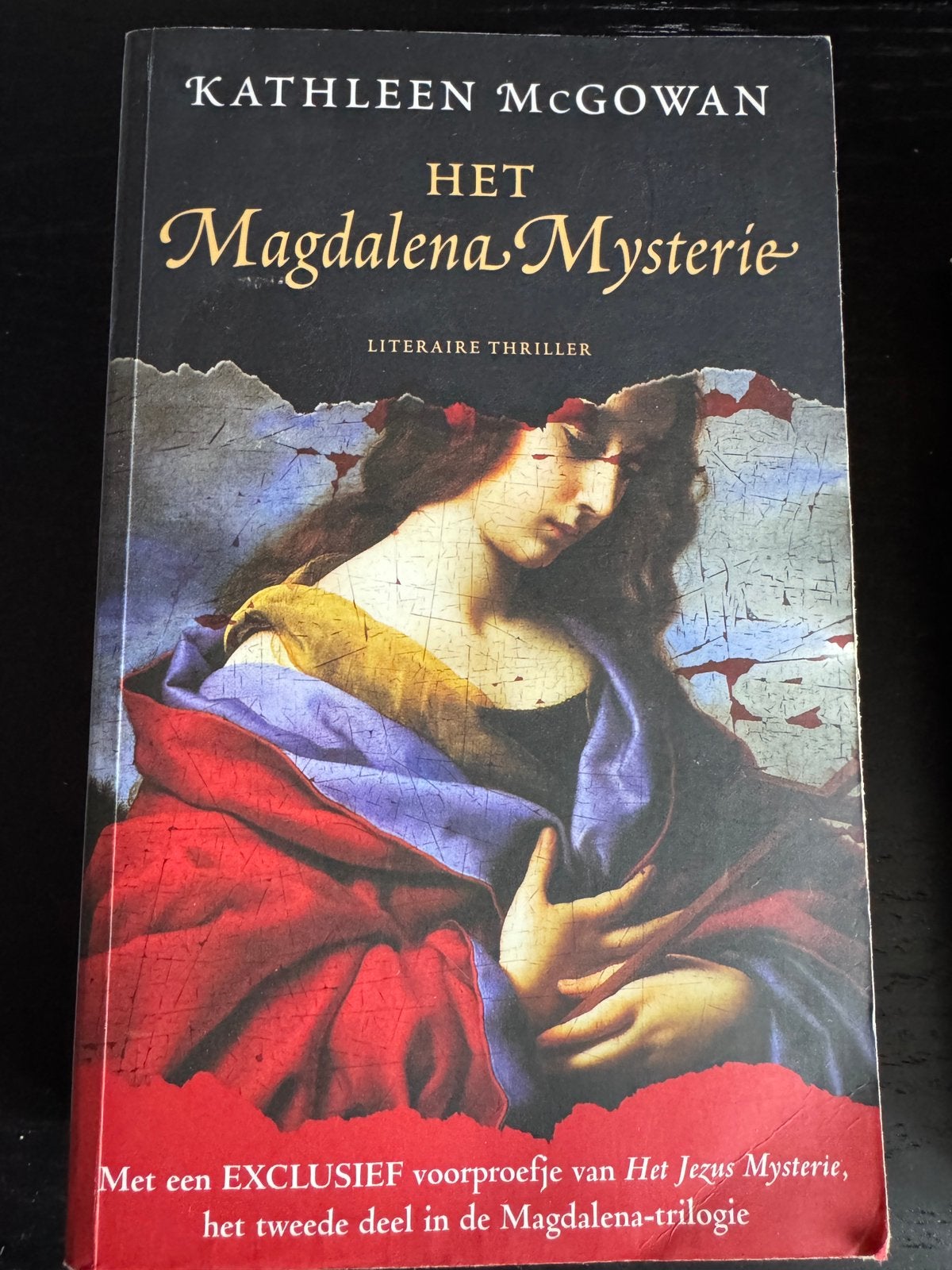 Kathleen McGowan - Het Magdalena mysterie en twee andere, Boeken, Gelezen, Ophalen of Verzenden, Kathleen McGowan, Nederland