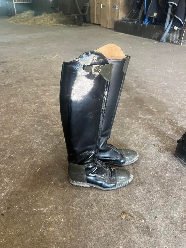 Derby 39, Ophalen of Verzenden, Zo goed als nieuw, Dressuur, Schoeisel