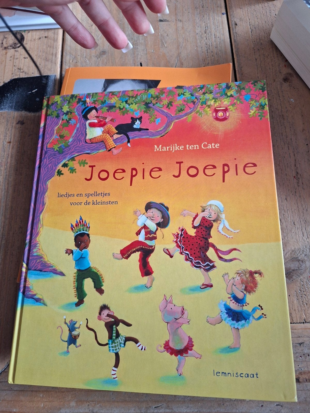 Joepie Joepie: Liedjes en spelletjes voor de kleinsten, Ophalen of Verzenden, Zo goed als nieuw, Marijke ten Cate, 2 tot 3 jaar