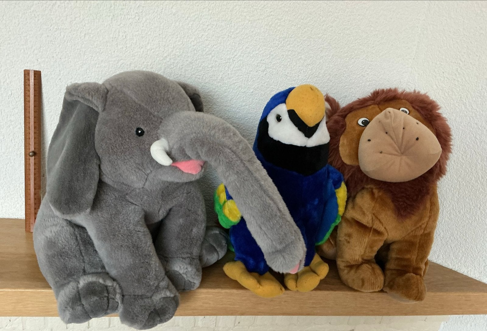 Grote knuffels: Papegaai, Olifant en Leeuw, Gebruikt, Ophalen of Verzenden, Middelgroot (20 tot 80 cm), Meerkleurig