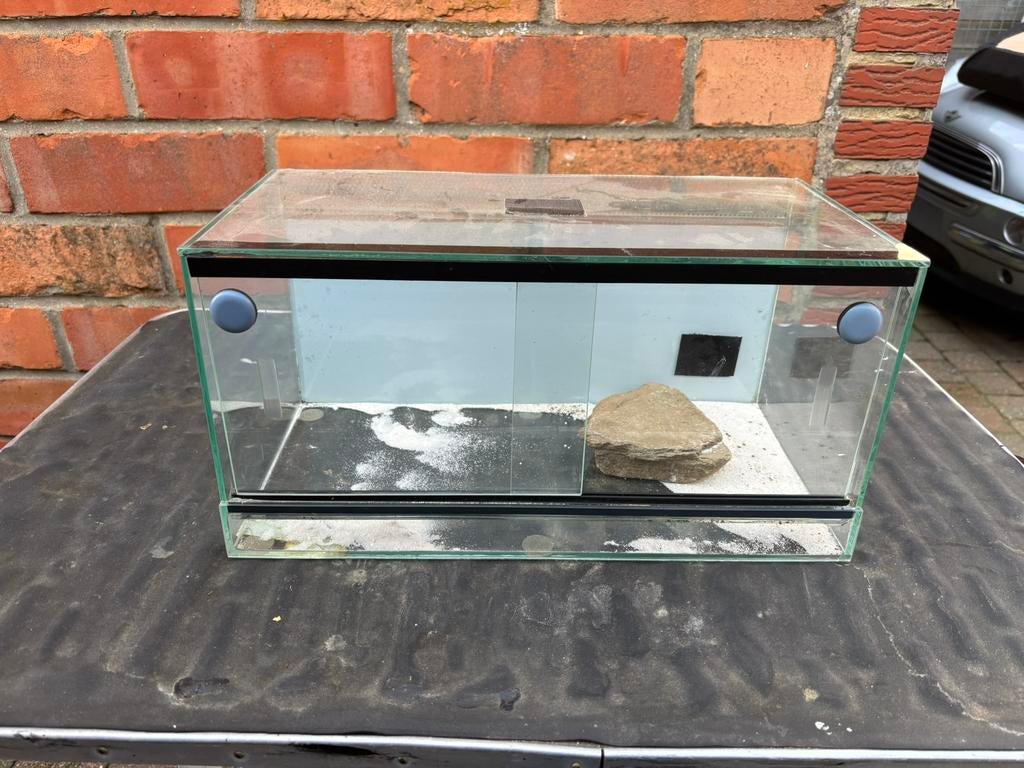 Kleine terrarium ‼️België‼️, Ophalen, Gebruikt, Terrarium of Paludarium