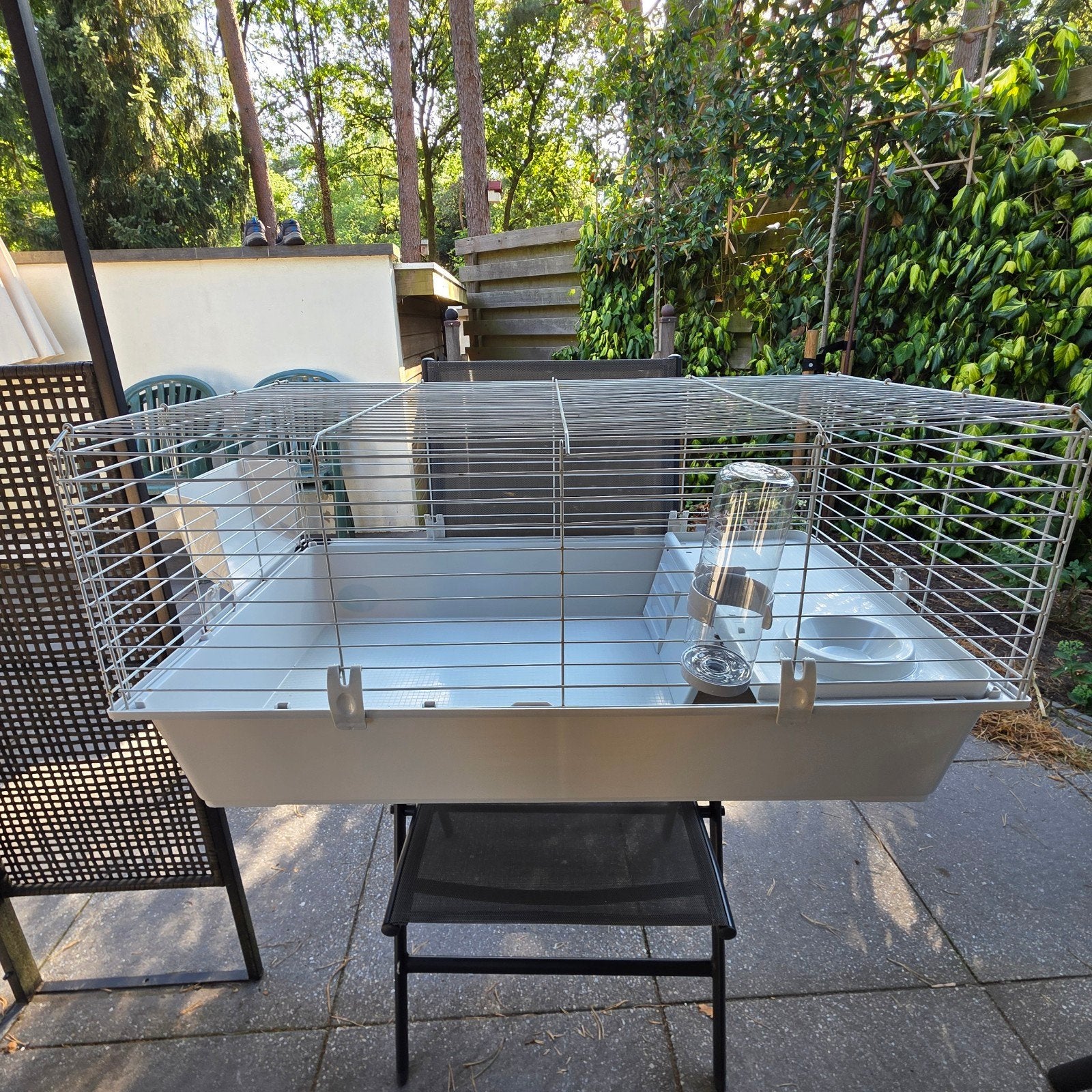 Kooi voor knaagdieren, Ophalen, Gebruikt, Cavia