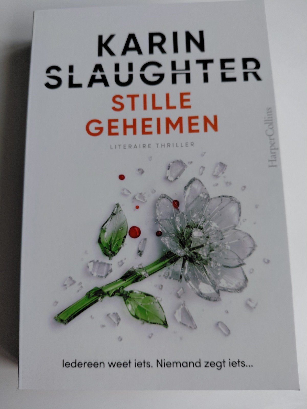 Karin Slaughter - Stille geheimen (Literaire thriller), Ophalen of Verzenden, Nieuw, Karin Slaughter
