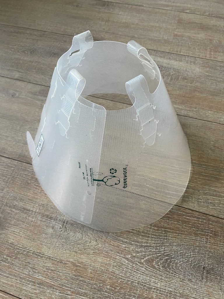Collar hond vet, Dieren en Toebehoren, Ophalen
