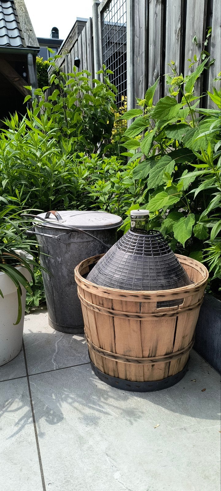 Dagiama (gist fles), Ophalen, Rond, Minder dan 30 cm