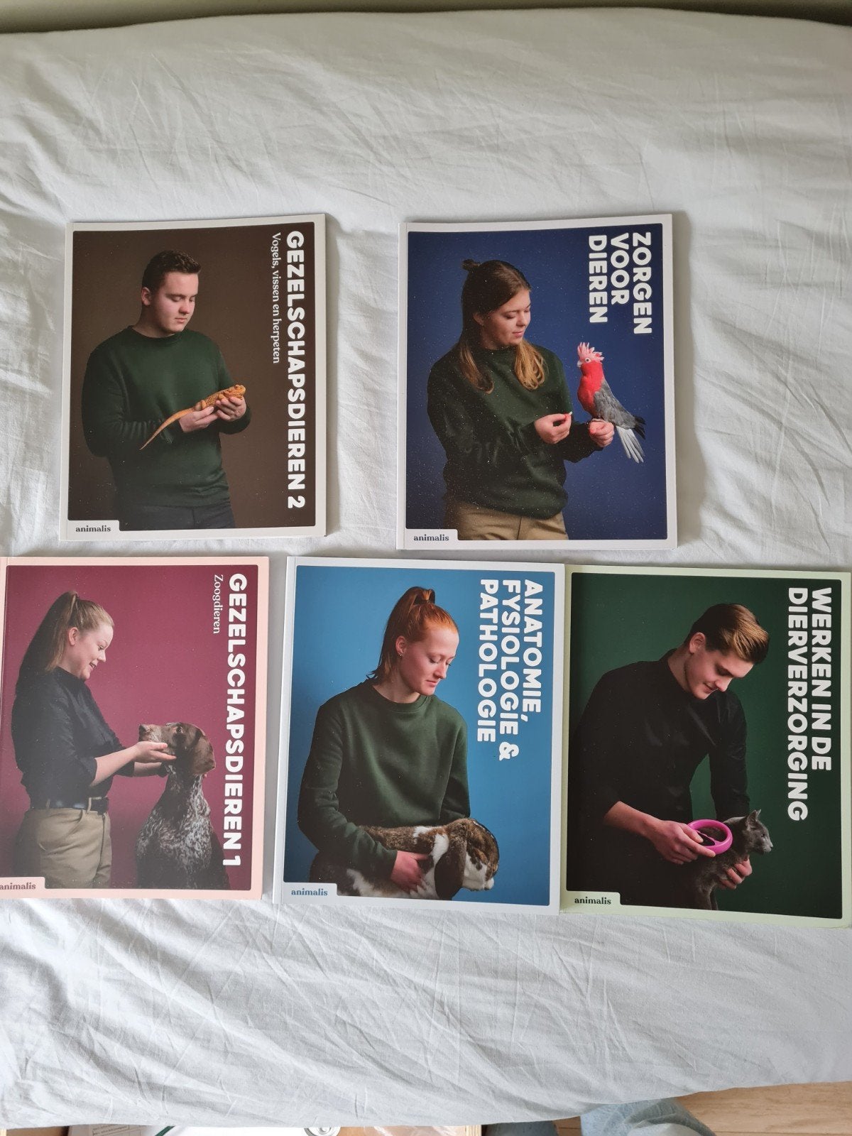 Boekenpakket opleiding Paraveterinair - Zo goed als nie, Ophalen of Verzenden, Beta, Zo goed als nieuw, MBO