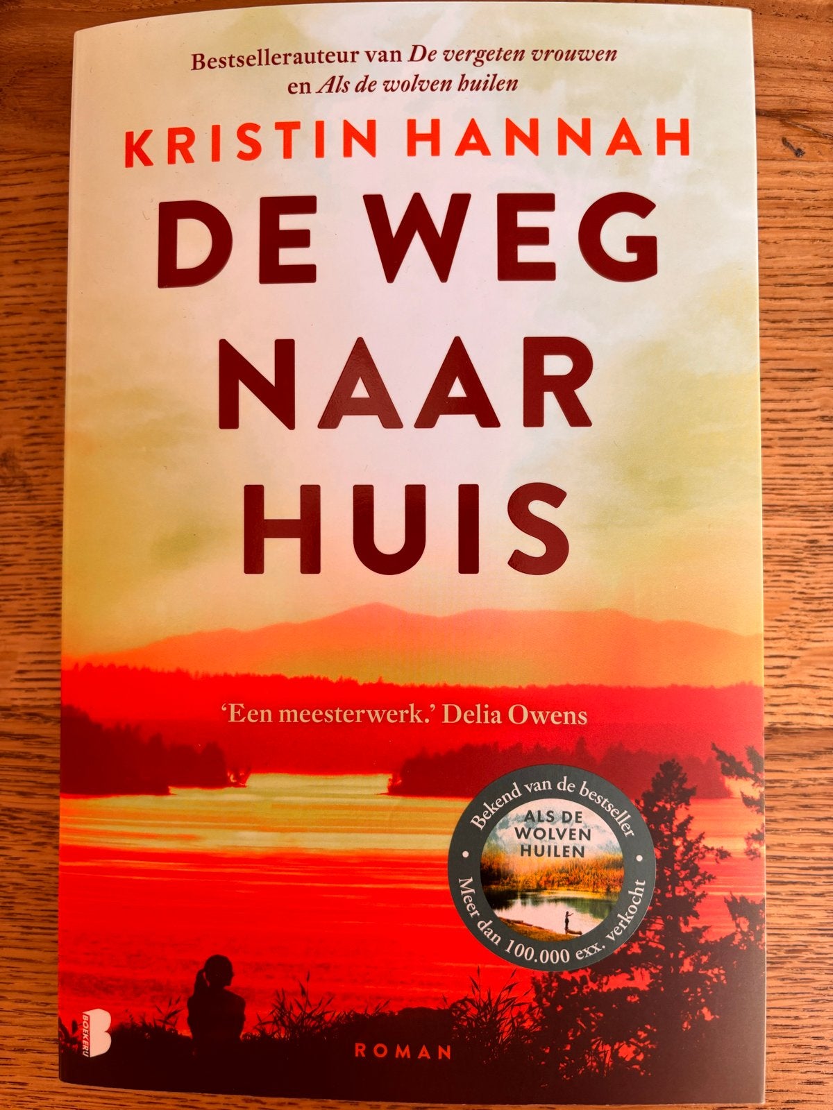 De Weg Naar Huis - Kristin Hannah (Roman), Ophalen of Verzenden, Nieuw, Nederland