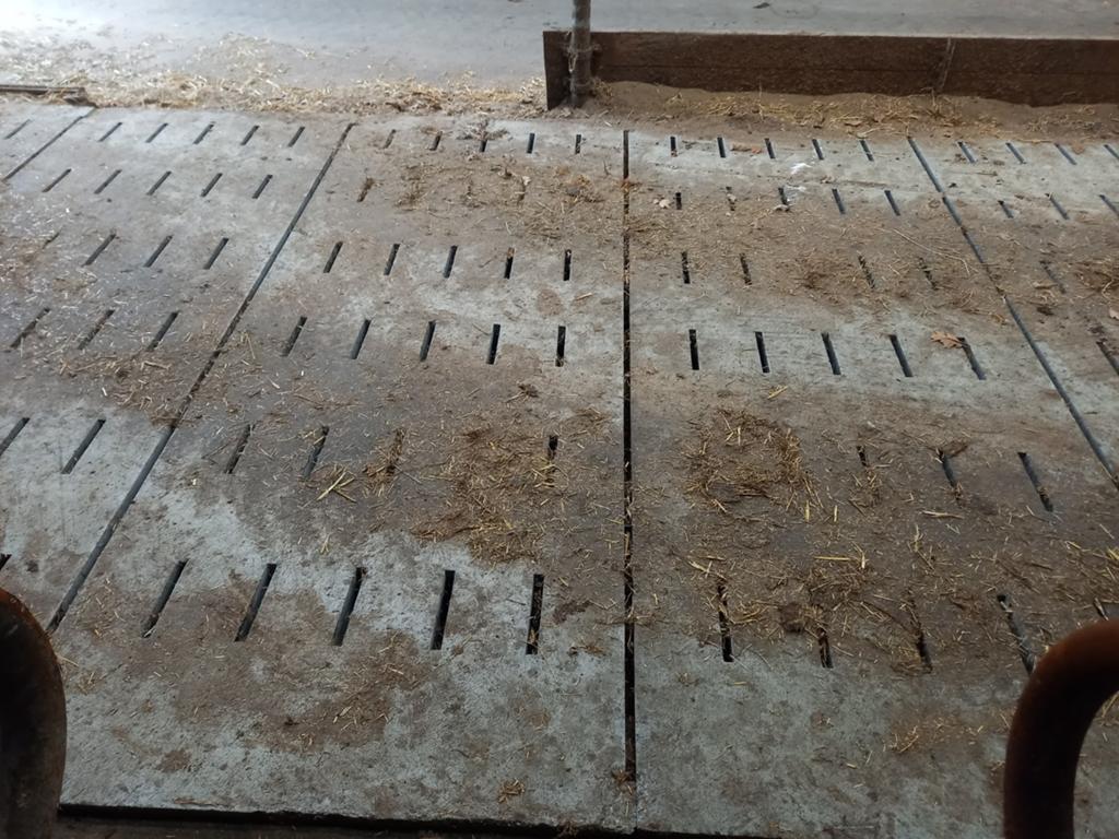 Stro/ beluchtingroosters, Ophalen of Verzenden, Nieuw