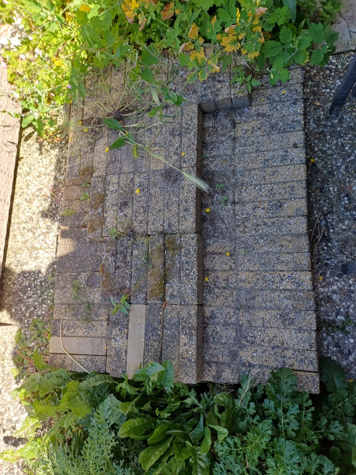 Gratis tuinsteentjes, Tuin en Terras, Ophalen, Hout