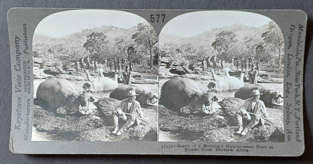 Stereofoto Nijlpaardenjacht Rhodesie Afrika, Gebruikt, Foto, Voor 1940, Buitenland