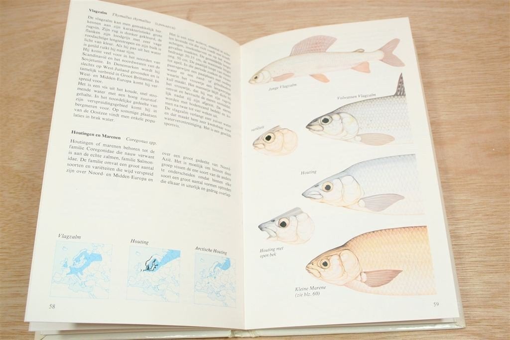 Zoetwatervissen — Overzicht Europese Soorten, Boeken, Ophalen of Verzenden, Gelezen, Vogels