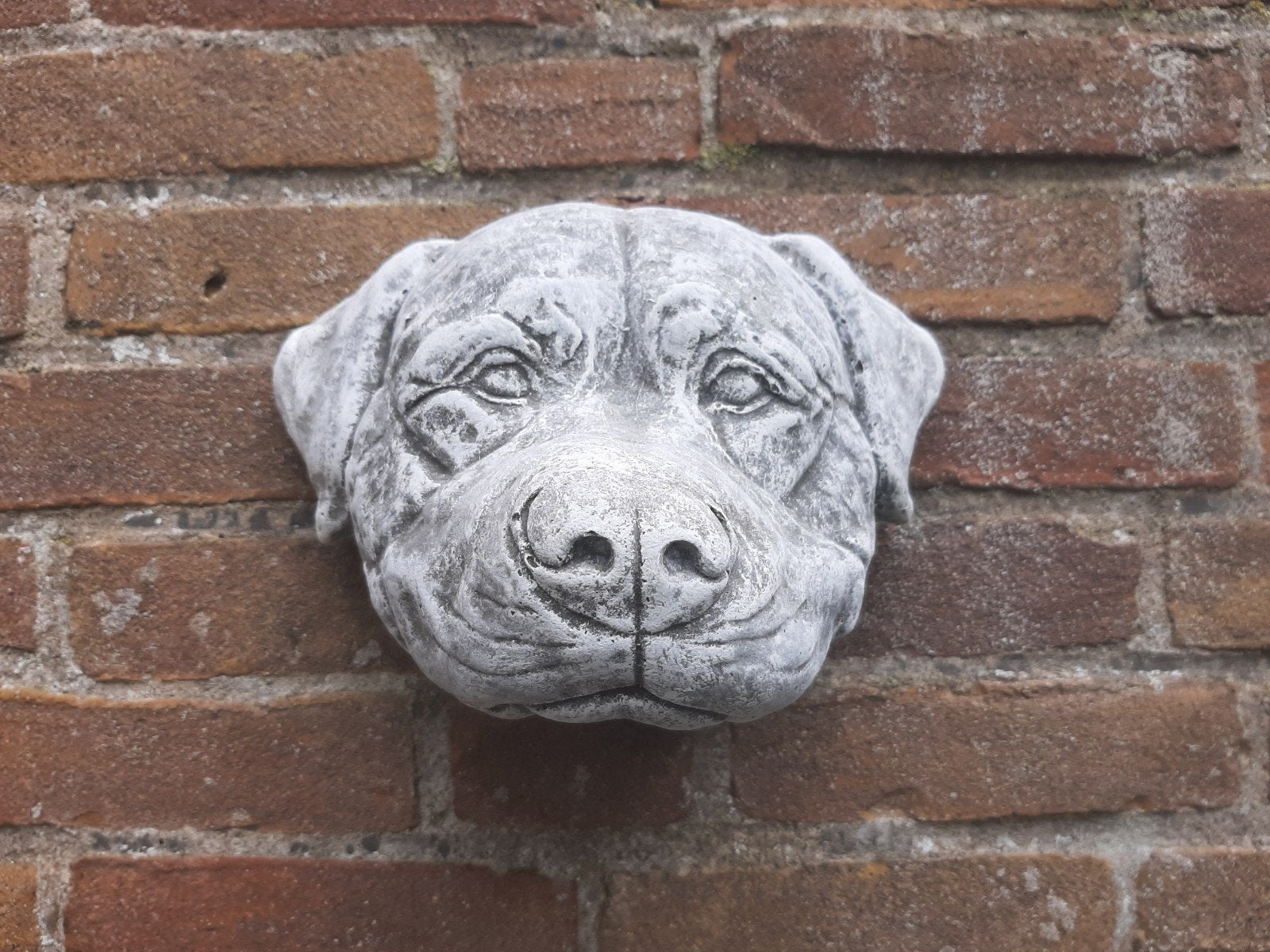 Hond rottweiler wanddecoratie betonnen beeld tuinbeeld beton, Tuin en Terras, Ophalen of Verzenden