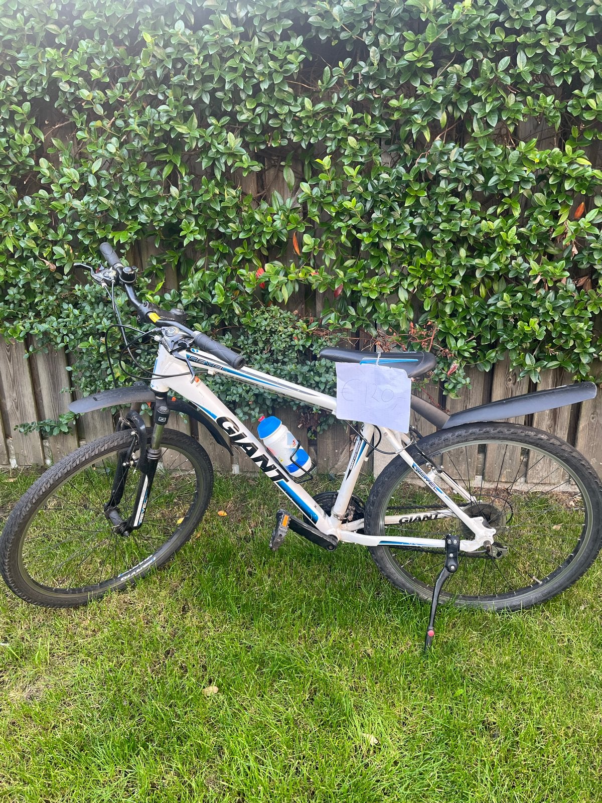 Giant Revel Mountainbike - Wit/Blauw - Maat M, Ophalen, Gebruikt, Hardtail, Velgrem