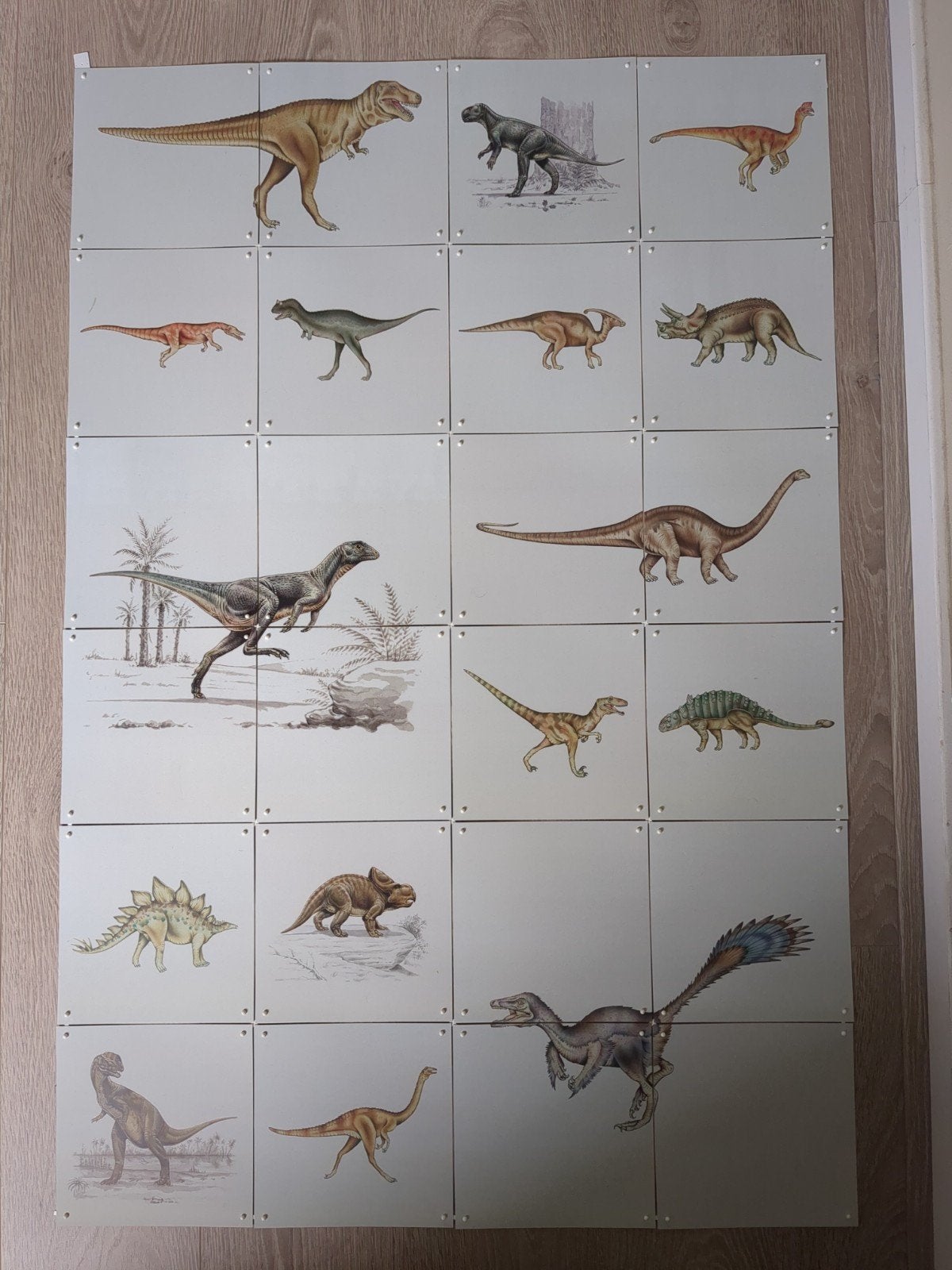 IXXI wand poster dino 80 x 120, Ophalen of Verzenden, Nieuw