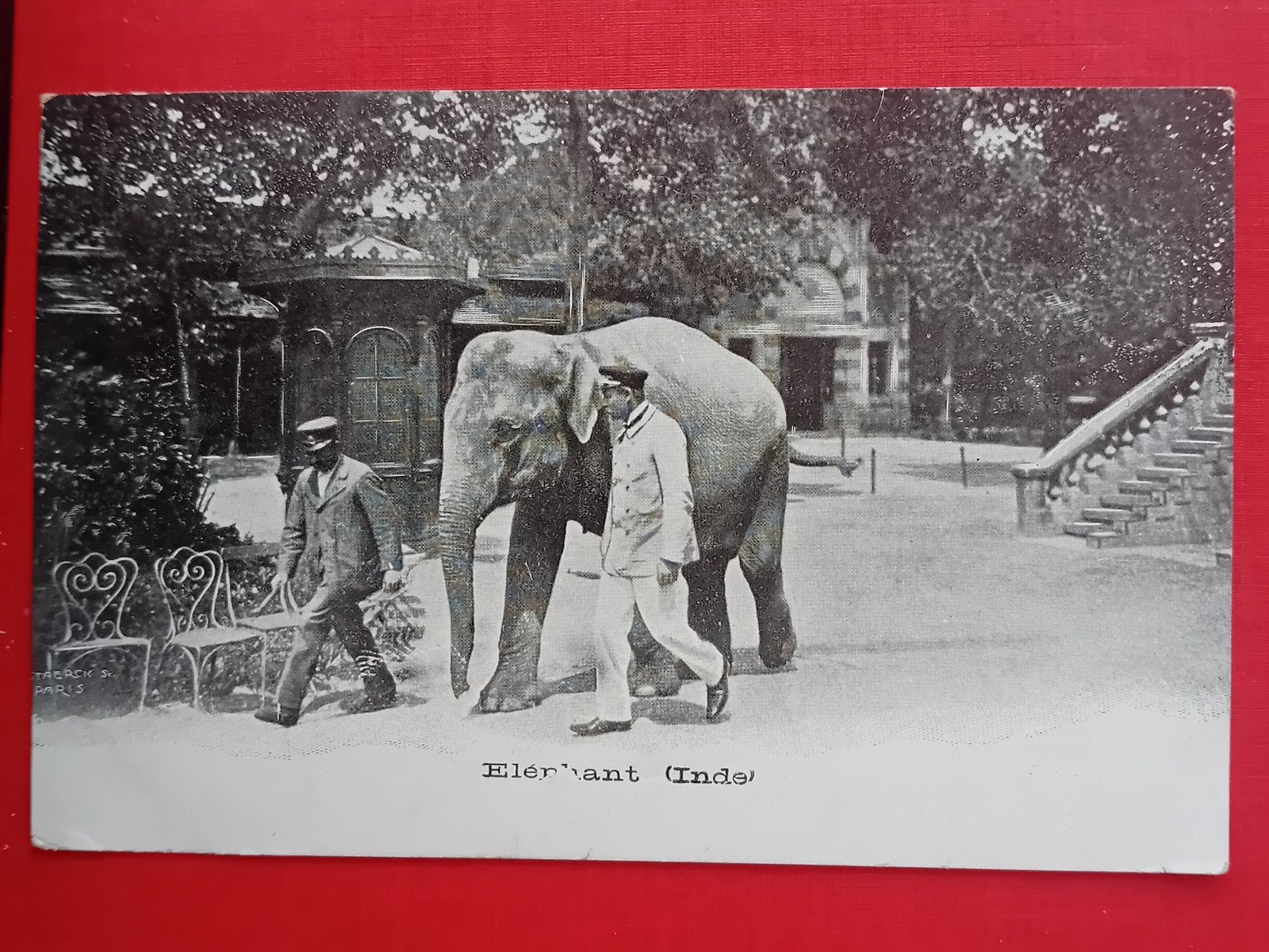 Ansichtkaart Elephant Inde, Verzamelen, Ansichtkaarten | Buitenland, Ophalen of Verzenden