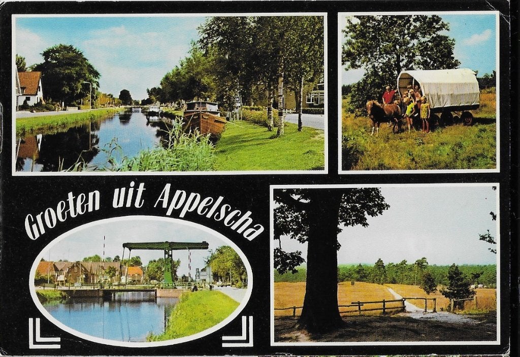 Appelscha gelopen ansichtkaart ( a519 ), Ophalen of Verzenden, 1980 tot heden