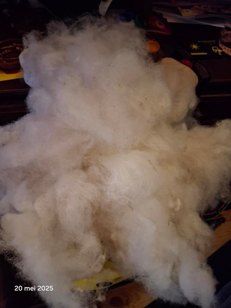 800 gram gewassen en gekaarde wol 7.50 per 100 gram, Ophalen of Verzenden, Nieuw, Spinwol