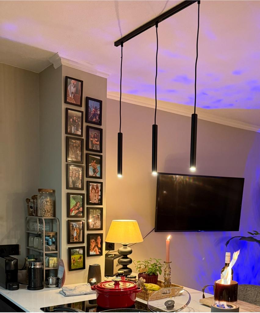 Hanglamp zwart, Huis en Inrichting, Lampen | Hanglampen, Ophalen, Zo goed als nieuw, Minder dan 50 cm