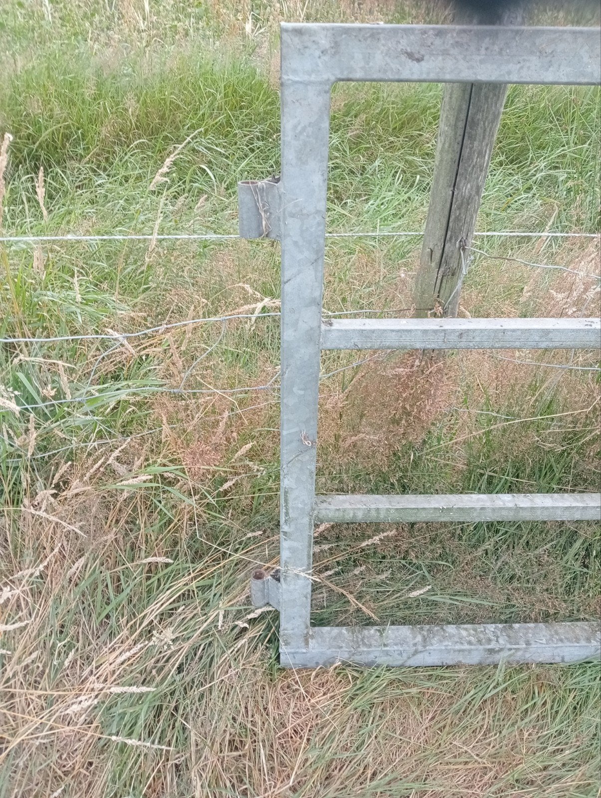 Gebruikte metalen poort voor weide of tuin, Ophalen, Met poort, Gebruikt, Tuinhek