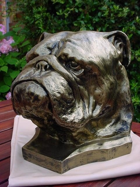 engelse bulldog franse duitsedog stafford als dec of urn, Ophalen of Verzenden, Nieuw, Kunststof