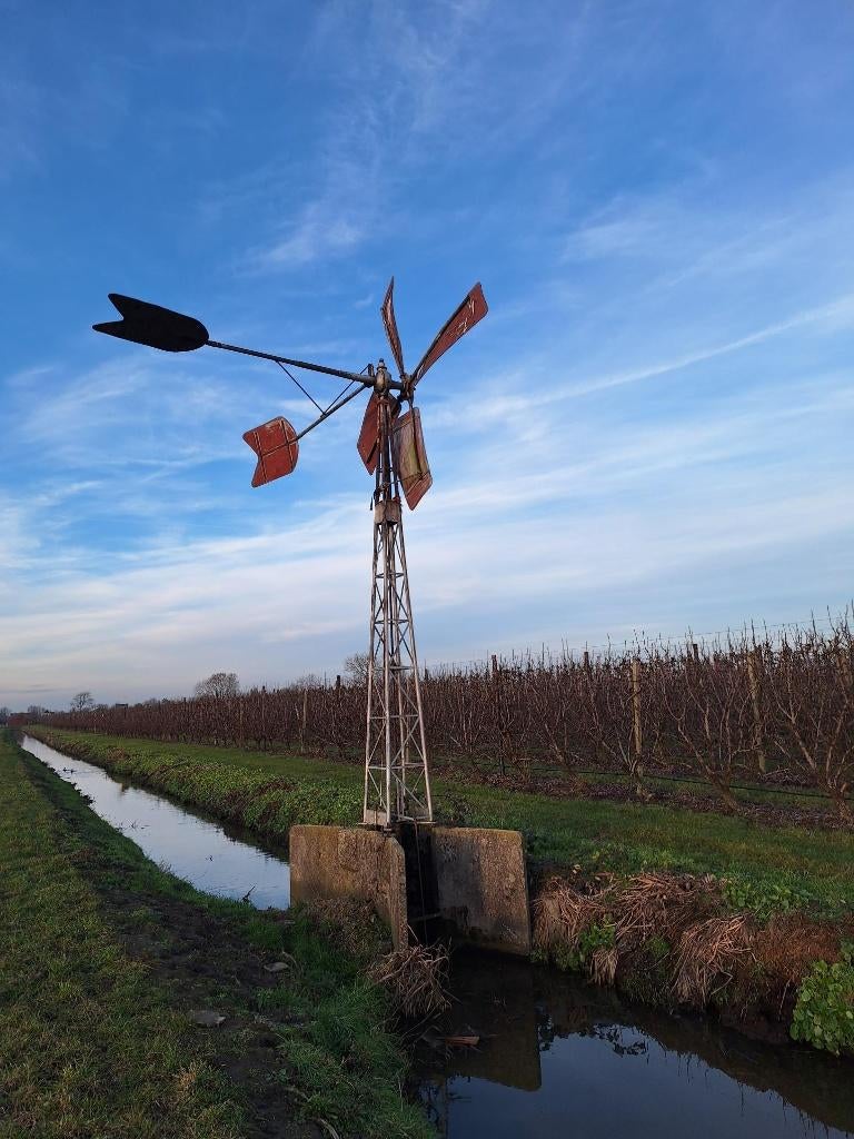 Bosman molen, watermolen, windmolen, windenergie, Ophalen, Overige typen