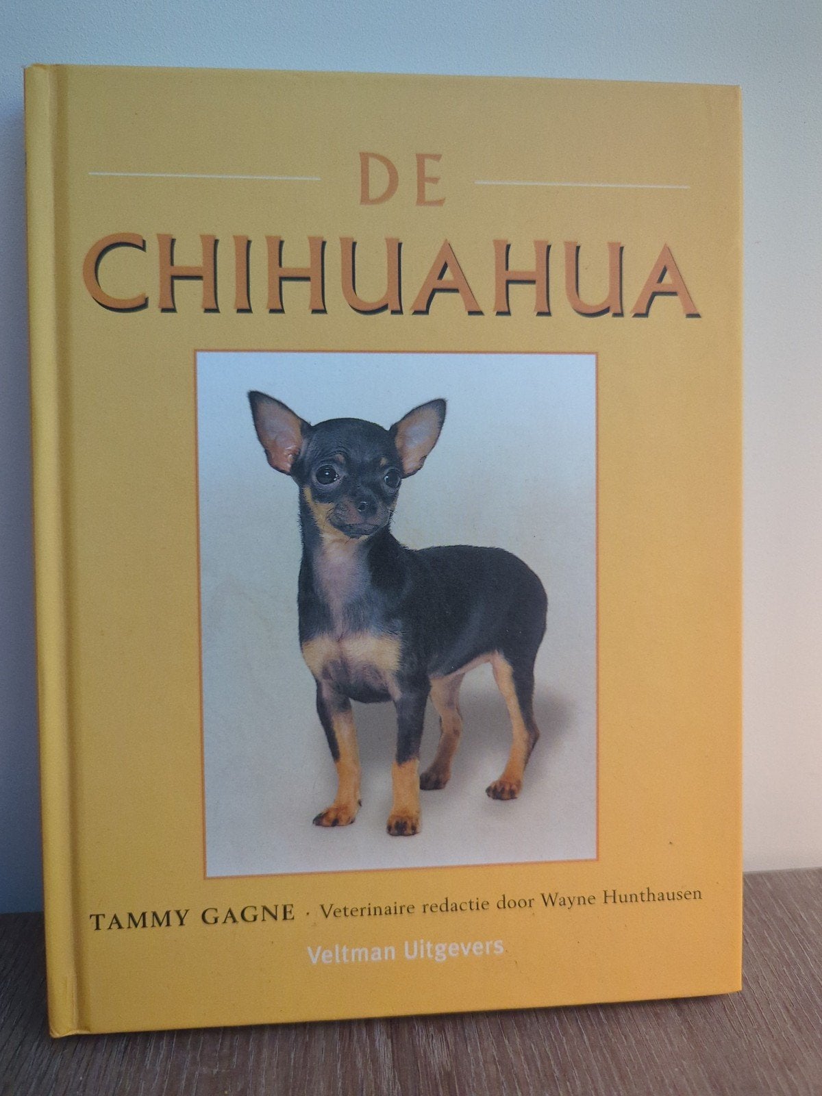 De Chihuahua - Boek over hondenras, Ophalen of Verzenden, Gelezen, Honden, Tammy Gagne