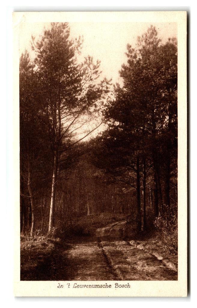 Leuvenum, In 't Leuvenumsche Bosch, Verzenden, 1920 tot 1940, Ongelopen, Gelderland